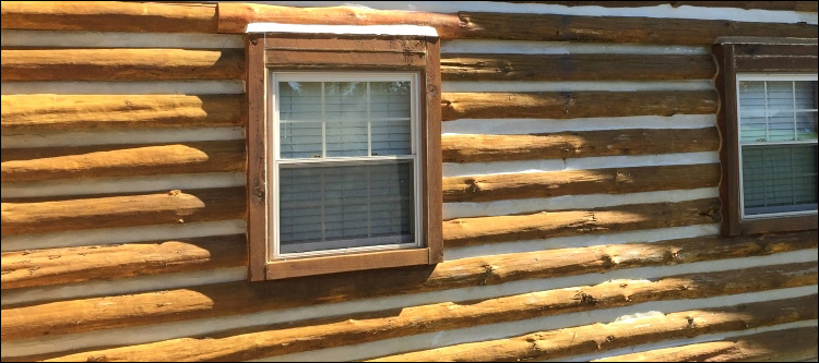 Log Home Whole Log Replacement  Decatur County, Georgia