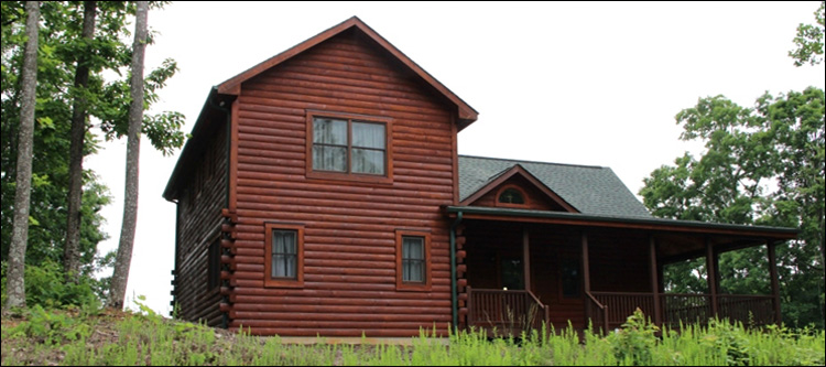 Professional Log Home Borate Application  Decatur County, Georgia